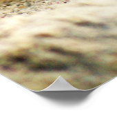 サンドカニ，キュラソーカリブの島， 24x18写真 ポスター (角)