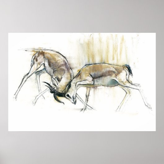 サンドガゼル2009 ポスター (正面)