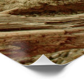 サンドゴアナ ポスター (コーナー)