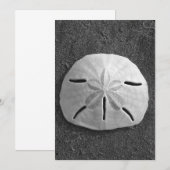 サンドダラー シェル ビーチ インビテーション (白黒写真) (正面/裏面)