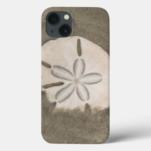 サンドダラー (Echinarachnius parma) Case-Mate iPhoneケース (裏面)