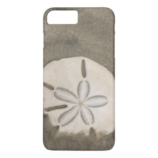 サンドダラー (Echinarachnius parma) Case-Mate iPhoneケース (裏面)