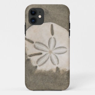 サンドダラー (Echinarachnius parma) iPhone 11 ケース