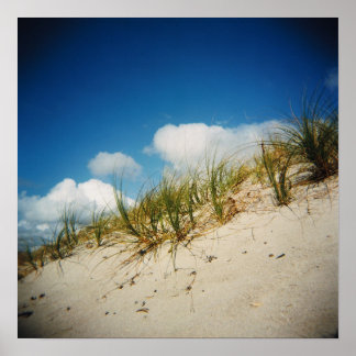 サンドデューンプリント ポスター