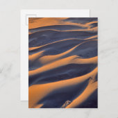 サンドデューン抽象芸術 ポストカード (正面/裏面)