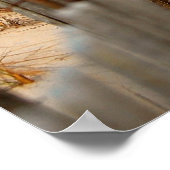 サンドデューン&シーフェンス ポスター (角)