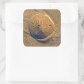 サンドドルがビーチ |ヒルトンヘッドアイランド スクエアシール (バッグ)