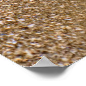 サンドドルがビーチ |ヒルトンヘッドアイランド ポスター (角)