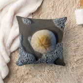 サンドドルとサーフビーチフォトアクセントピロー クッション (ブランケット)