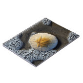 サンドドルとサーフビーチフォトスパイラルノート ノートブック (左側)