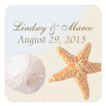 サンドドルアンドスターフィッシュシェルビーチ