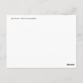 サンドドルシェルビーチはがき(カラー写真) ポストカード (裏面)