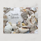 サンドドルシーサイドライフスタイルニューアドル 案内ポストカード (正面)