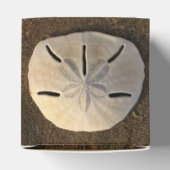 サンドドルシーシェルパーティー好意カスタムギフトボックス フェイバーボックス (上部)