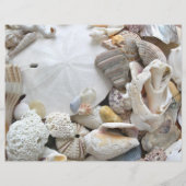 サンドドルシーシェル空白のスクラップブック紙 (裏面)