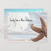 サンドドルスターフィッシュウッドビーチニューアドレス 案内ポストカード (正面/裏面)