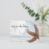 サンドドルスターフィッシュウッドビーチニューアドレス 案内ポストカード (スタンド正面)