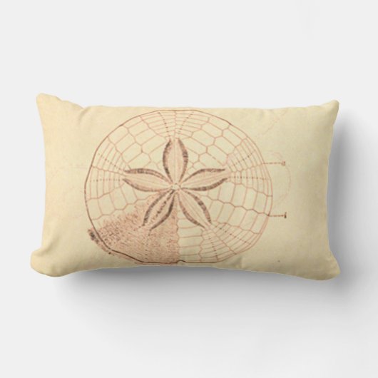 サンドドルビーチイラストレーション ランバークッション (正面)