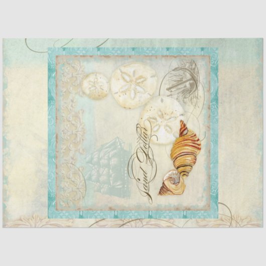 サンドドルビーチシーシェルズシーサイドデカップアート 薄葉紙 (正面)