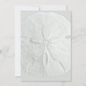 サンドドルビーチ誕生日パーティーの招待 招待状 (裏面)