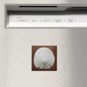 サンドドルマグネット マグネット (インサイチュ (食洗機))