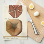 サンドドル宝石 キッチンタオル (四つ折り)