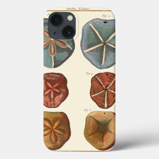 サンドドル宝石 Case-Mate iPhoneケース (裏面)