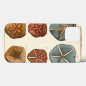 サンドドル宝石 Case-Mate iPhoneケース (裏面 (横))