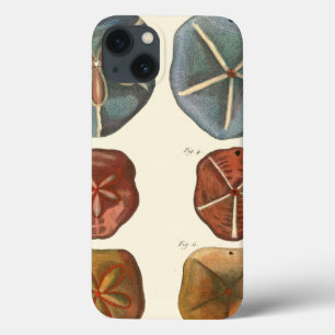 サンドドル宝石 iPhone 13ケース