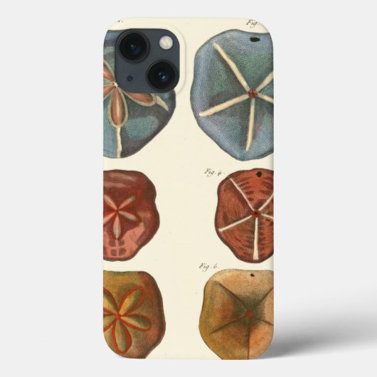 サンドドル宝石 Case-Mate iPhoneケース (裏面)