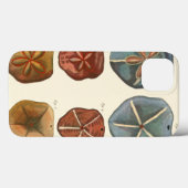サンドドル宝石 Case-Mate iPhoneケース (裏面 (横))