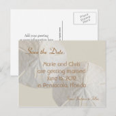 サンドドル日付保存ビーチテーマ結婚 案内ポストカード (正面/裏面)