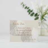 サンドドル日付保存ビーチテーマ結婚 案内ポストカード (スタンド正面)