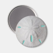 サンドドル海ビーチ夏ターコイズ白 マグネット (正面/裏面)