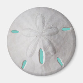 サンドドル海ビーチ夏ターコイズ白 マグネット