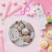 サンドドル紙プレート ペーパープレート (パーティー)