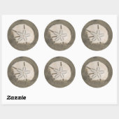 サンドドル（エチナラチニウス・パルマ） ラウンドシール (シート)