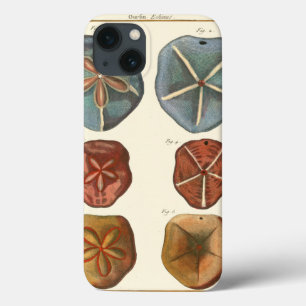 サンドドル・ジェムズ iPhone 13ケース