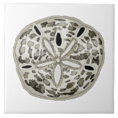 サンドドル タイル (正面)