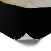 サンドドル ポスター (角)