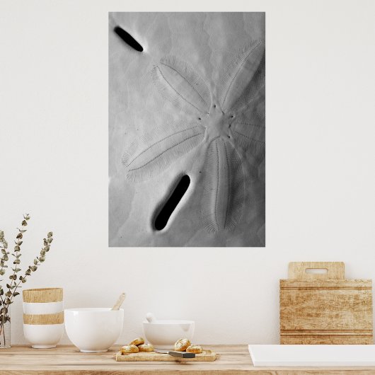 サンドドル ポスター (キッチン)