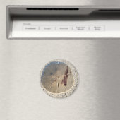 サンドドル マグネット (インサイチュ (食洗機))