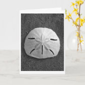 サンドドル(白黒)カード カード (黄色い花)