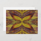 サンドバタフライ23 ポストカード (正面/裏面)