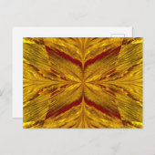 サンドバタフライ2 ポストカード (正面/裏面)