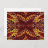 サンドバタフライ6 ポストカード (正面/裏面)