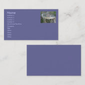 サンドバンクきのこ名刺 名刺 (正面/裏面)