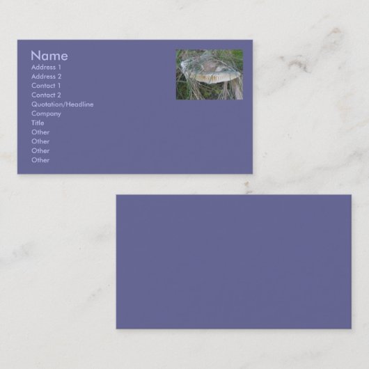 サンドバンクきのこ名刺 名刺 (正面/裏面)