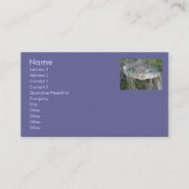 サンドバンクきのこ名刺 名刺 (正面)