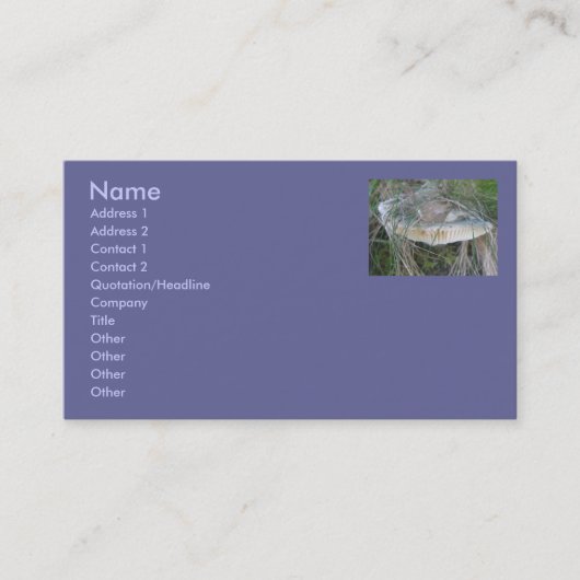 サンドバンクきのこ名刺 名刺 (正面)